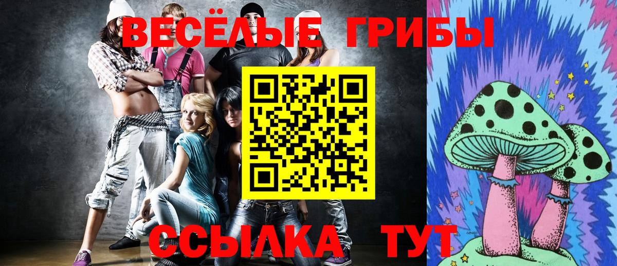 Псилоцибиновые грибы Psilocybine cubensis Таганрог